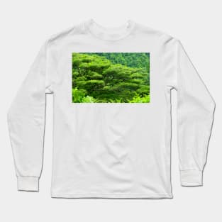 Shades of Green Long Sleeve T-Shirt